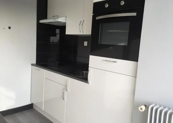 T2 Hyper Centre Bord De Loire Parking 公寓 *